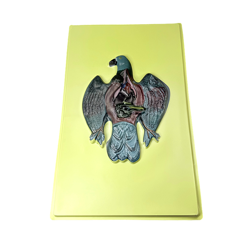 Relief model of pigeon